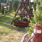 DSCF6006