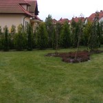 DSCF7194