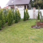 DSCF7196