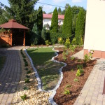 DSCF7527