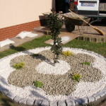 DSCF7529