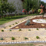 DSCF7543