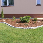 DSCF7548