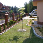 DSCF7554