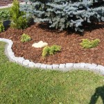 DSCF7555