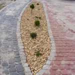 DSCF7594