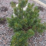 zdięcia ixperia woda 3026