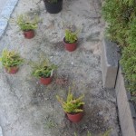 zdięcia ixperia woda 3041