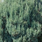 zdięcia ixperia woda 3074