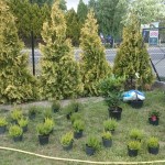 zdięcia ixperia woda 3121