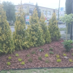 zdięcia ixperia woda 3165