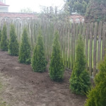 zdięcia ixperia woda 3224