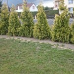 zdięcia ixperia woda 3287