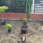 zdięcia ixperia woda 3320