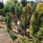 zdięcia ixperia woda 3599