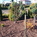 zdięcia ixperia woda 3604