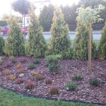 zdięcia ixperia woda 3637