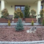 zdięcia ixperia woda 4030