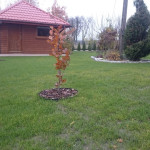zdięcia ixperia woda 4033