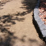 DSCF8803
